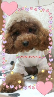 ���܂��B�B�B