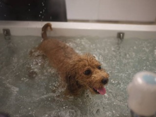 �C���������ł����