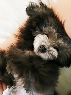 �}�}�̘r������