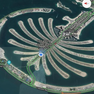 ���������ʐ^