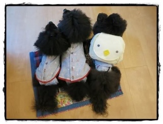 �G���G���L����