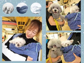 �p���[�X�|�b�g