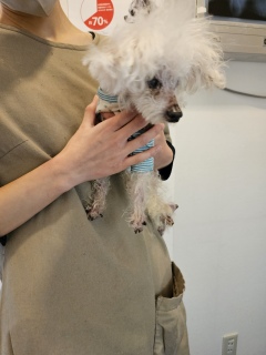 �זE�ނ��撣���Ă��