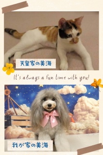 �V�c�ƂƓ������O