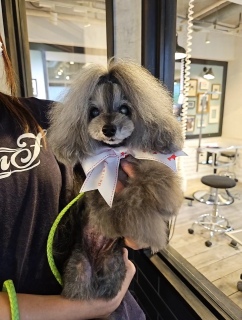 ���l����