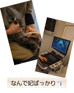 �����ꂵ��