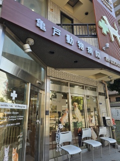 �Z�J���h�s�j�I��