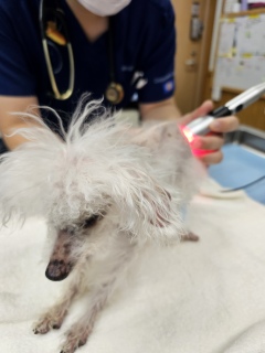 �N���X�́A�A�A