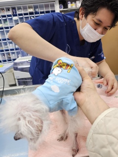 ���[�U�[����