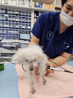 �T�˓����a�@