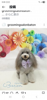 2026�N�P���g���~���O