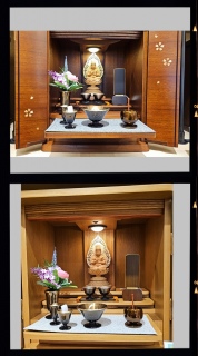 ���V���I�������