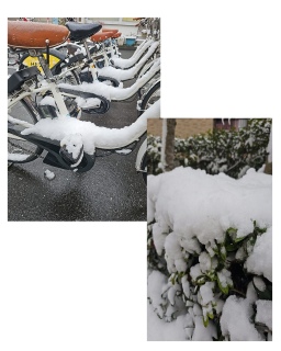 �}�W�~�������