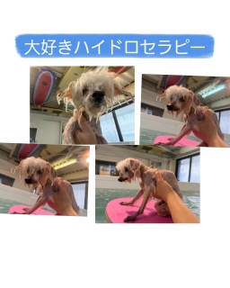 �N���X���q�̑�D��