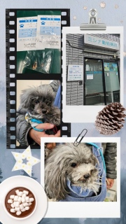 �����̂������