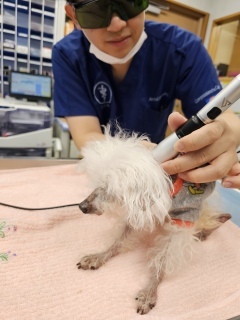 �T�Ɉ�x�̃��[�U�[����