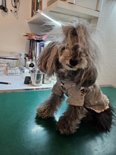 2���̍זE��