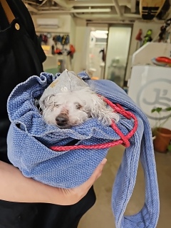 ��D���ȏꏊ