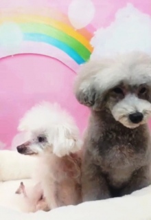 2���ŏ���baton