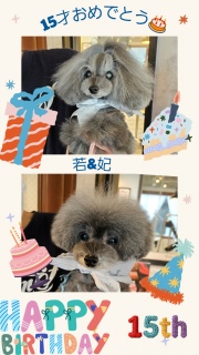 15�˂��߂łƂ��I