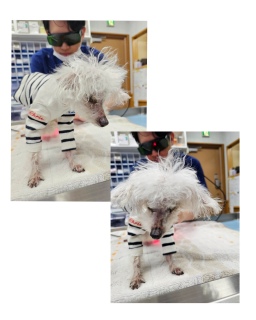 ���[�U�[�f�[