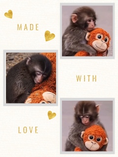 �p���`����