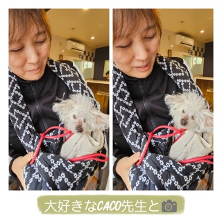 ���������C�ɁI