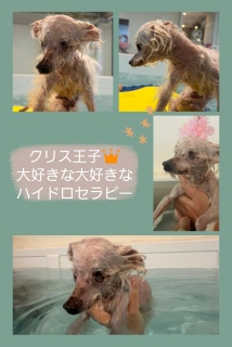 �N���X���q