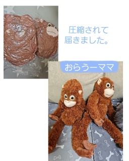 ����Ɠ͂������