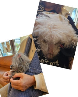 �����a�@