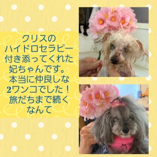 ���ǂ��R���r