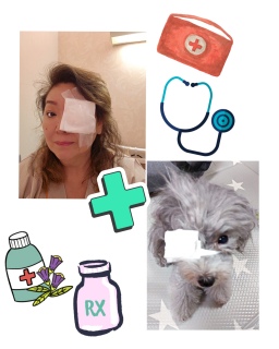 ���C�����