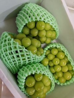 �V���C���}�X�J�b�g