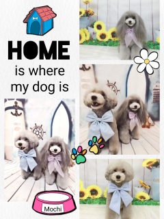 ���l�e�q�̃g���~���O